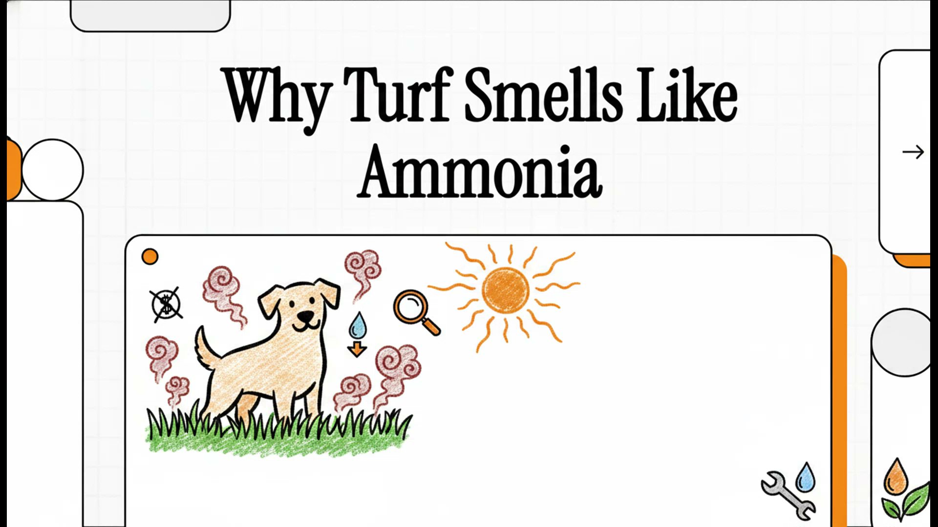 Pet Turf Installation