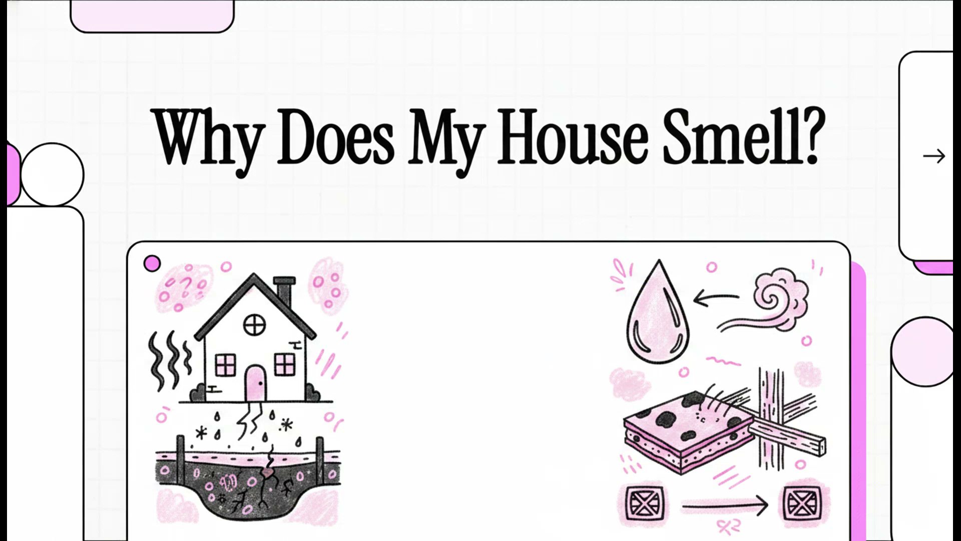 Moisture & Mold Prevention Quiz